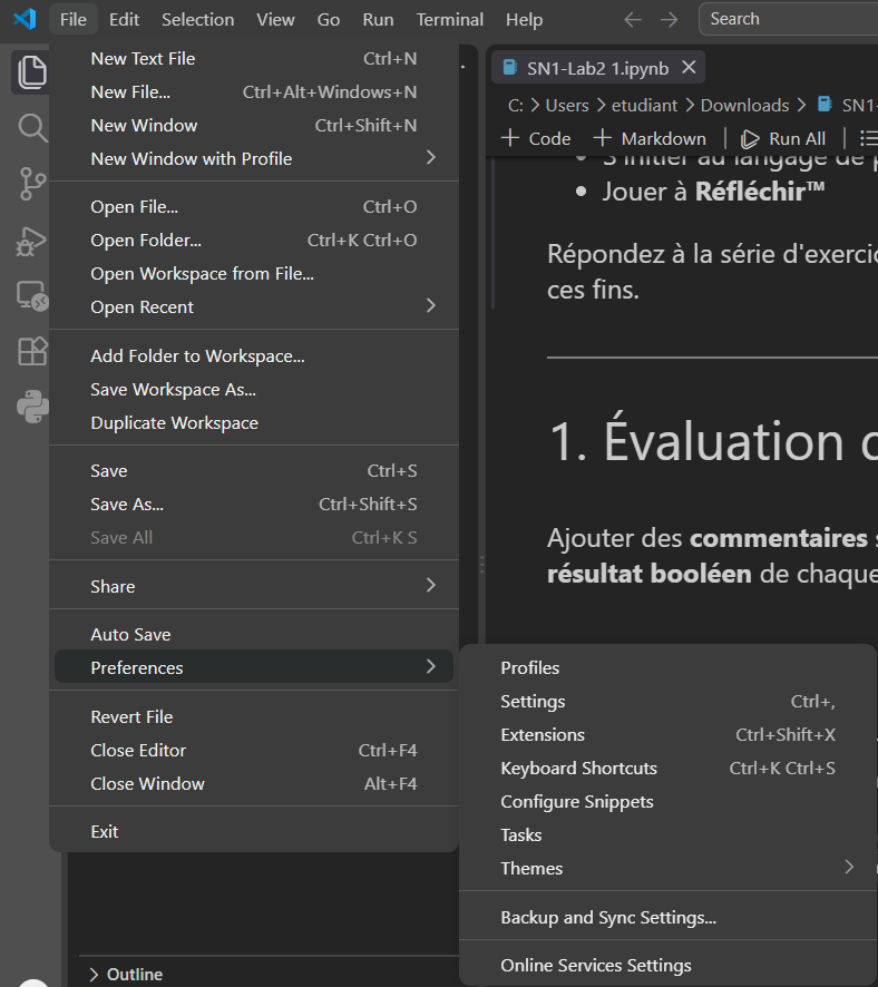 Le menu File de Visual Studio Code ouvert, avec le sous-menu Preferences et son option Settings